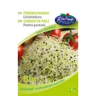 Póréhagyma biocsíra mag, 15 g