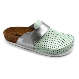 Leon klumpa, zöld-ezüst, 41