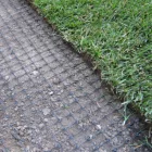 Molenet vakondháló 