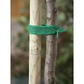 Fatörzs rögzítő, 4 cm x 2 m, zöld Fatörzs rögzítő, 4 cm x 2 m, zöld