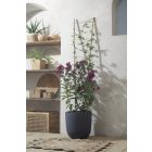 Echelle Bamboo bambusz növénylétra, 150 cm