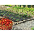 Terrapro takarófólia, 1,4 m x 10 m, fekete