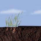 Terrapro takarófólia, 1,4 m x 10 m, fekete