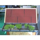 Ereszháló fekete 0,17 x 6 m, dobozos