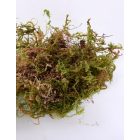 Fitoland Sphagnum moha, 2 liter