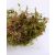 Fitoland Sphagnum moha, 2 liter