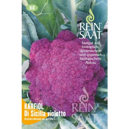 Di Sicillia violetto bio dinamikus karfiol vetőmag