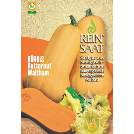 Butternut Waltham bio dinamikus tök vetőmag