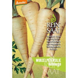   Petersilienwurzel Halblange bio dinamikus petrezselyem vetőmag