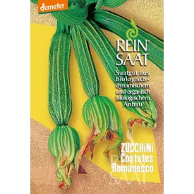 Costates Romanesco bio dinamikus cukkini vetőmag