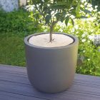 Chanvrelin 750 D természetes talajtakaró, 30 cm