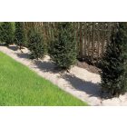 Flaxhemp természetes lebomló talajtakaró 0,5 x 3 m