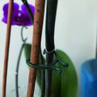 Vegring növénykapocs készlet, 40 db/cs