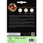 Ehető virágok - Oroszlánszáj mag