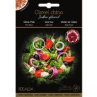 Ehető virágok - Kínai szegfű mag