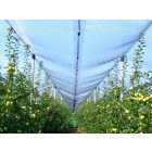 Hailnet hurkolt, jégkár elleni védőháló, 3 m x 10 m, zöld-fekete 