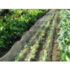 Hailnet hurkolt, jégkár elleni védőháló, 3 m x 10 m, zöld-fekete 