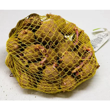 Colomba vetőburgonya, 50 szem