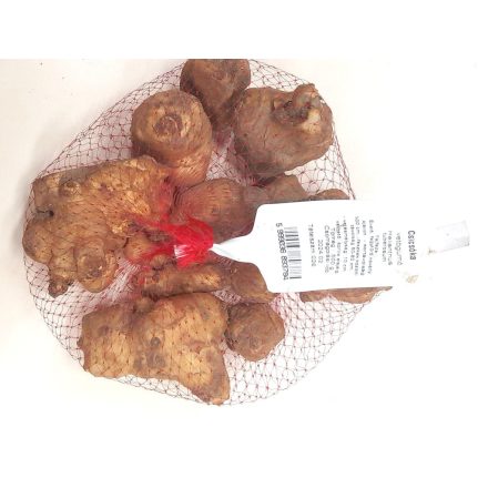 Csicsóka ültetőgumó, 0,5 kg
