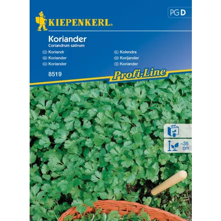 Koriander vetőmag, kb 70 szem