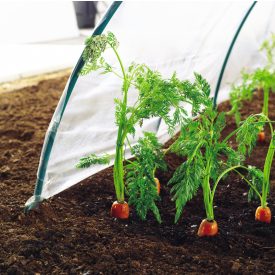 Climafilm kertészeti fólia alagút, 2 m x 5 m  Climafilm kertészeti fólia alagút, 2 m x 5 m