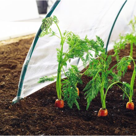 Climafilm kertészeti fólia alagút, 2 m x 5 m 