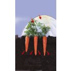 Climafilm kertészeti fólia alagút, 2 m x 5 m 