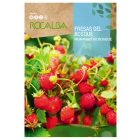 Vadszamóca vetőmag, 0,1 g