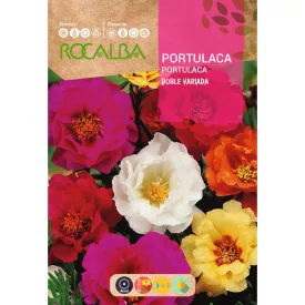 Porcsinrózsa vetőmag, teltvirágú, színkeverék