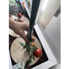 Bamboo Plast műanyag bevonatú bambuszkaró, 1,5 m