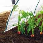 Climafilm KIT fólia alagút tartozékokkal