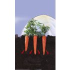 Climafilm KIT fólia alagút tartozékokkal