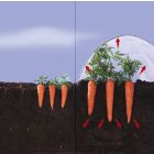 Climafilm KIT fólia alagút tartozékokkal