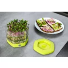 Csíráztató 3+1 részes almazöld