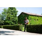 Oleo-Mac HC 246 P sövényvágó 