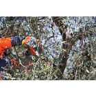 Oleo-Mac GST 250 láncfűrész 