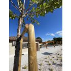 Magus Post hegyezett fa cölöp, karó, Ø4 x 200 cm