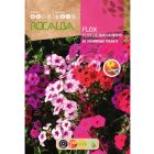 Lángvirág vetőmag, színkeverék