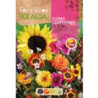 Egynyári mezei virág keverék vetőmag, 2 g