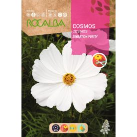 Pillangóvirág vetőmag, fehér, 6 g