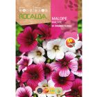 Tölcsérmályva vetőmag, 8 g