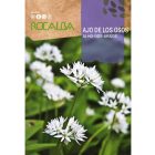 Medvehagyma vetőmag, 1 g