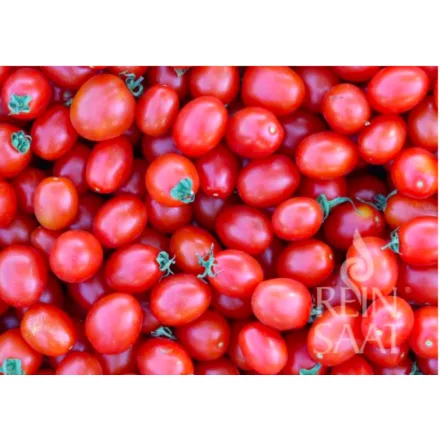 Principe Borghese bio dinamikus paradicsom vetőmag