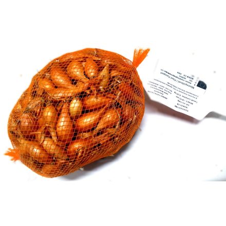 Makói CR tavaszi dughagyma, 300 g