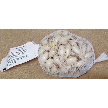 Fehér tavaszi dughagyma, 200 g