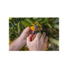 Felco 330 gyümölcs kacsoló 