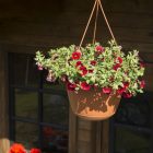 Stella akasztható virágcserép, terrakotta