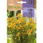 Orbáncfű vetőmag, 1 g