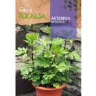 Fekete Üröm vetőmag, 1 g