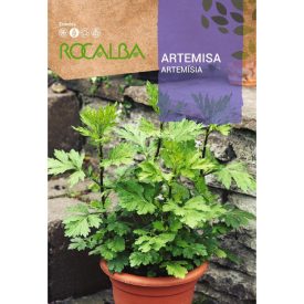 Fekete Üröm vetőmag, 1 g